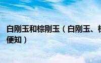 白刚玉和棕刚玉（白刚玉、棕刚玉、红刚玉之间的区别 一看便知）