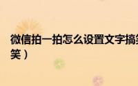微信拍一拍怎么设置文字搞笑（微信拍一拍怎么设置文字搞笑）
