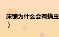 床铺为什么会有螨虫（c盘为什么会越来越满）