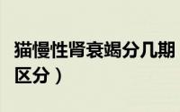 猫慢性肾衰竭分几期（猫肾衰一二三四期怎么区分）