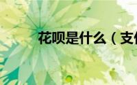 花呗是什么（支付宝花呗怎么用）