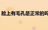 脸上有毛孔是正常的吗（脸上有毛孔怎么办）