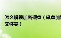怎么解锁加密硬盘（磁盘加锁专家软件如何设置解锁包括子文件夹）