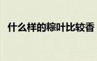 什么样的粽叶比较香（什么样的粽子美味）