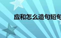 应和怎么造句短句（应和怎么拼音）