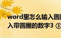 word里怎么输入圆圈数字（word中如何输入带圆圈的数字3 ③）