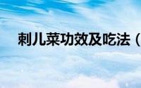 刺儿菜功效及吃法（刺儿菜功效和吃法）