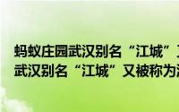 蚂蚁庄园武汉别名“江城”又被称为湿地之城吗（蚂蚁庄园武汉别名“江城”又被称为湿地之城吗）
