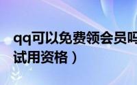 qq可以免费领会员吗（怎样领取qq会员特权试用资格）