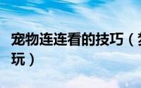 宠物连连看的技巧（梦幻宠物连连看应该怎么玩）