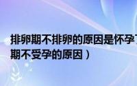排卵期不排卵的原因是怀孕了吗（为什么排卵期不受孕排卵期不受孕的原因）