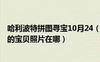 哈利波特拼图寻宝10月24（哈利波特拼图寻宝10.25如果我的宝贝照片在哪）