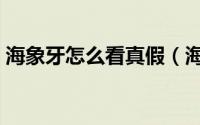 海象牙怎么看真假（海象牙鉴定最简单方法）