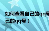 如何查看自己的qq号和qq密码（如何查看自己的qq号）