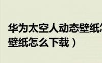 华为太空人动态壁纸怎么画（华为太空人动态壁纸怎么下载）