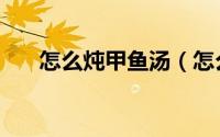 怎么炖甲鱼汤（怎么炖甲鱼汤才好喝）