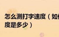 怎么测打字速度（如何测试自己的英文打字速度是多少）