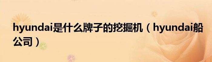 hyundai是什么牌子的挖掘机（hyundai船公司）