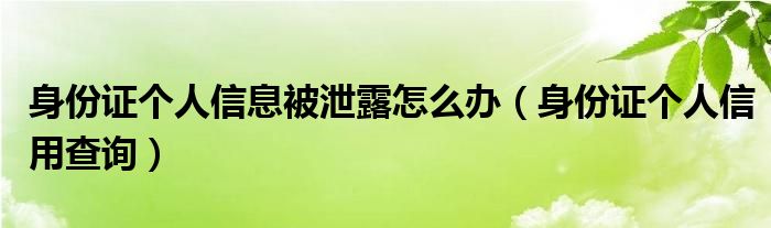 身份证个人信息被泄露怎么办（身份证个人信用查询）