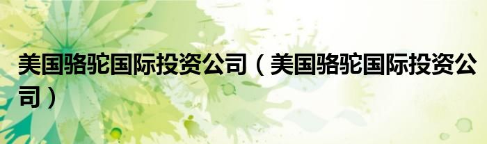美国骆驼国际投资公司（美国骆驼国际投资公司）