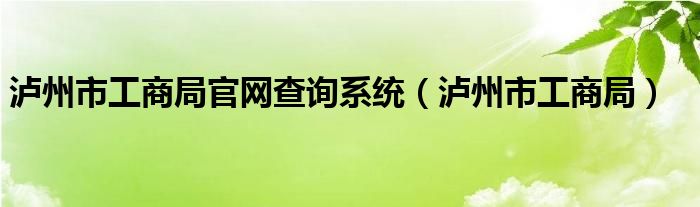 泸州市工商局官网查询系统（泸州市工商局）