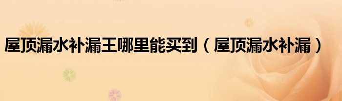 屋顶漏水补漏王哪里能买到（屋顶漏水补漏）