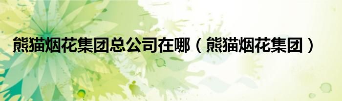 熊猫烟花集团总公司在哪（熊猫烟花集团）