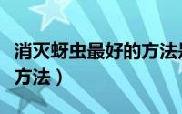 消灭蚜虫最好的方法是什么（灭蚜虫的最有效方法）