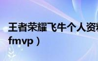 王者荣耀飞牛个人资料（王者荣耀飞牛有几个fmvp）