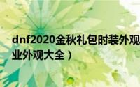 dnf2020金秋礼包时装外观（DNF2021国庆金秋礼包全职业外观大全）