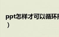 ppt怎样才可以循环播放（PPT怎样裁切图片）