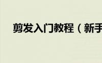 剪发入门教程（新手剪发技巧分步图解）