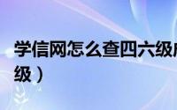 学信网怎么查四六级成绩（学信网怎么查四六级）