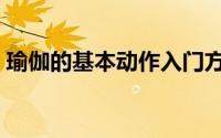 瑜伽的基本动作入门方法（瑜伽的基本动作）