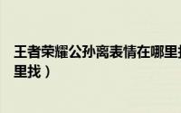 王者荣耀公孙离表情在哪里找到（王者荣耀公孙离表情在哪里找）