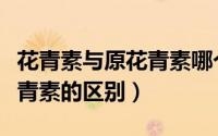 花青素与原花青素哪个效果好（花青素与原花青素的区别）