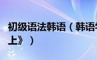 初级语法韩语（韩语学习韩语语法入门必修《上》）