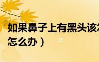 如果鼻子上有黑头该怎么办（有黑头在鼻子上怎么办）
