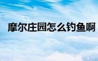 摩尔庄园怎么钓鱼啊（摩尔庄园怎么钓鱼）