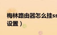 梅林路由器怎么挂ss（梅林固件路由器的SS设置）
