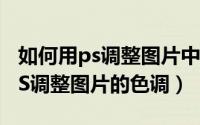 如何用ps调整图片中一部分的大小（如何用PS调整图片的色调）