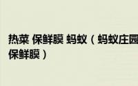 热菜 保鲜膜 蚂蚁（蚂蚁庄园7月14日刚烹饪的热菜可以盖上保鲜膜）