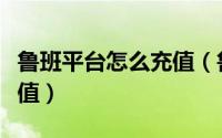 鲁班平台怎么充值（鲁班到家如何进行钱包充值）