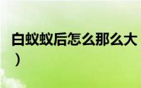 白蚁蚁后怎么那么大（白蚁蚁后为什么那么大）