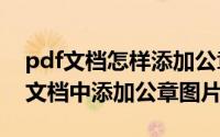 pdf文档怎样添加公章（如何在word或PDF文档中添加公章图片）