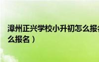 漳州正兴学校小升初怎么报名考试（漳州正兴学校小升初怎么报名）