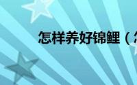 怎样养好锦鲤（怎样养好白兰花）