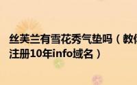 丝芙兰有雪花秀气垫吗（教你如何在Crazydomains16美元注册10年info域名）