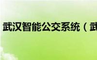 武汉智能公交系统（武汉智能公交使用方法）