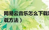 网易云音乐怎么下载歌词（网易云音乐歌词下载方法）